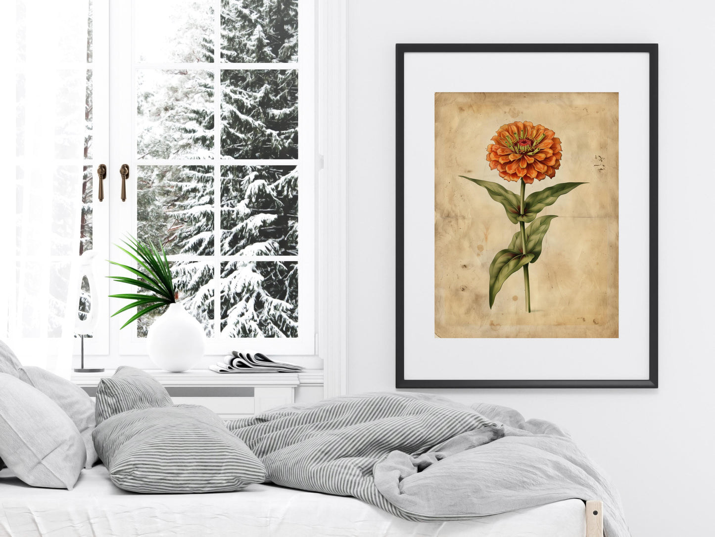 Zinnia's Elegance by Emilia Florentina- collector's item, Renaissance, plant life, botany, 17th century